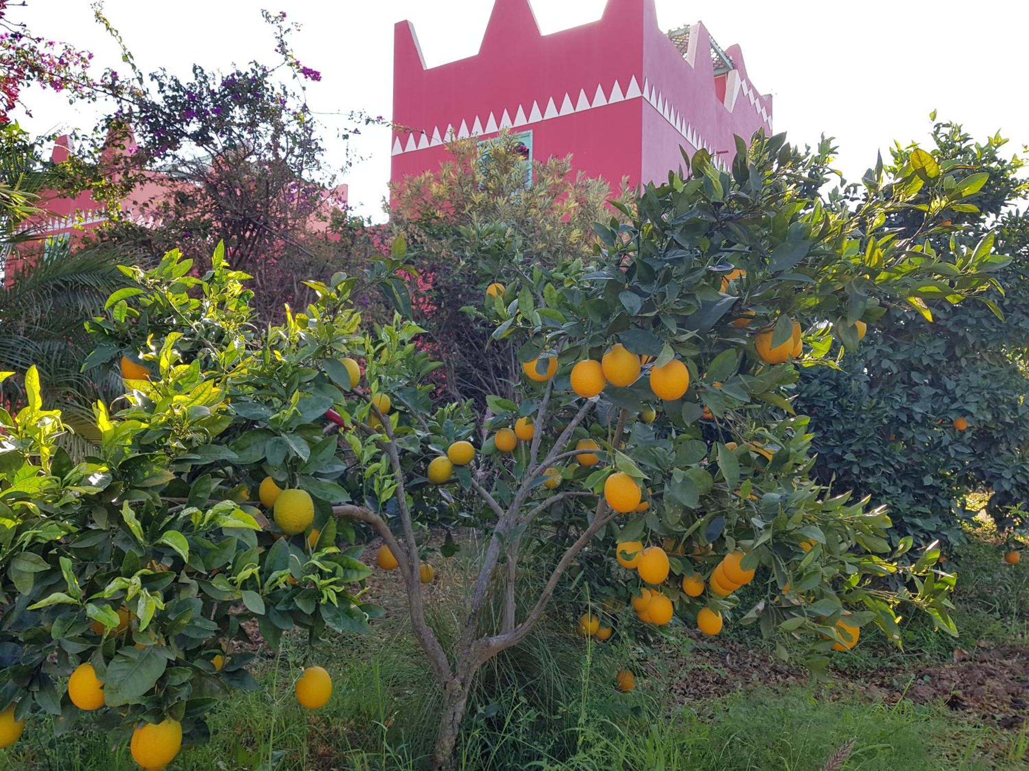Riad-Villa Agadir-Taroudant Sidi Boumoussa Exterior foto